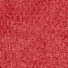 Ethan Rose