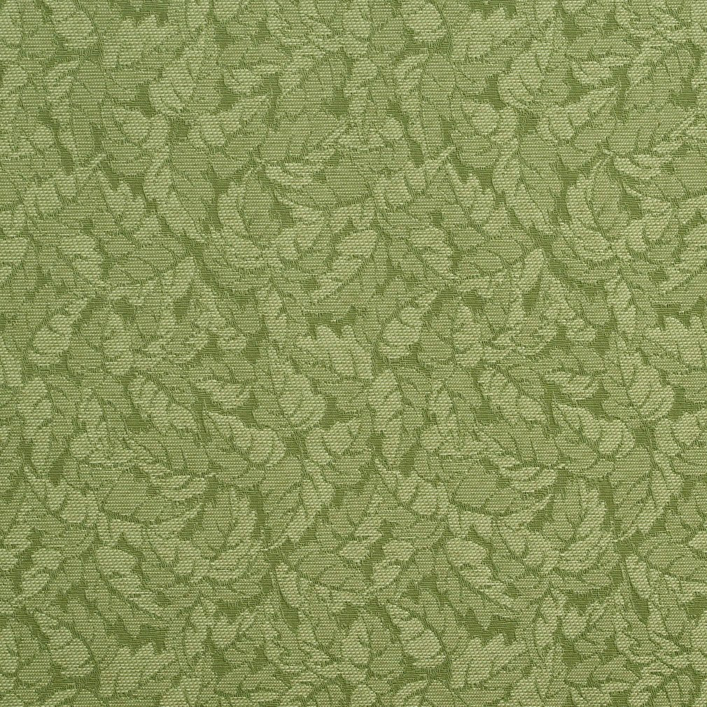 Gianni Spring