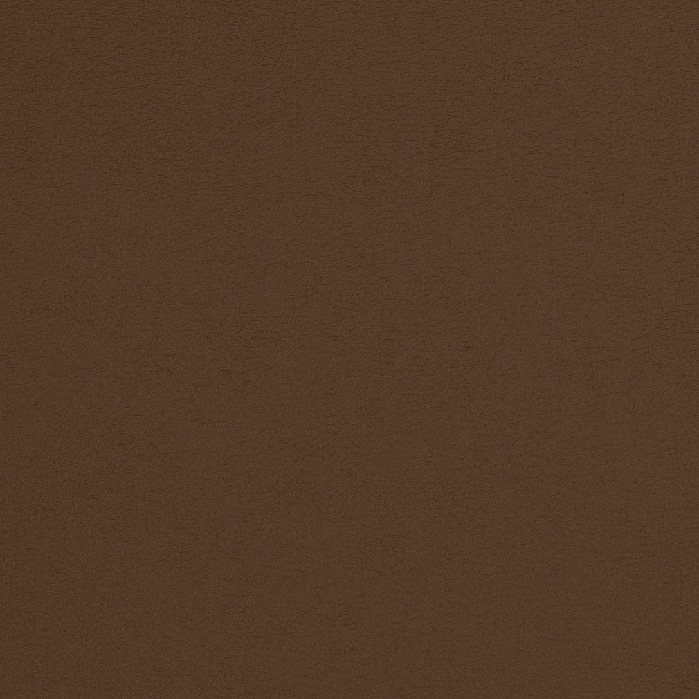 Gloria Mocha
