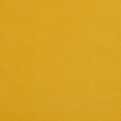 Hartford Canary