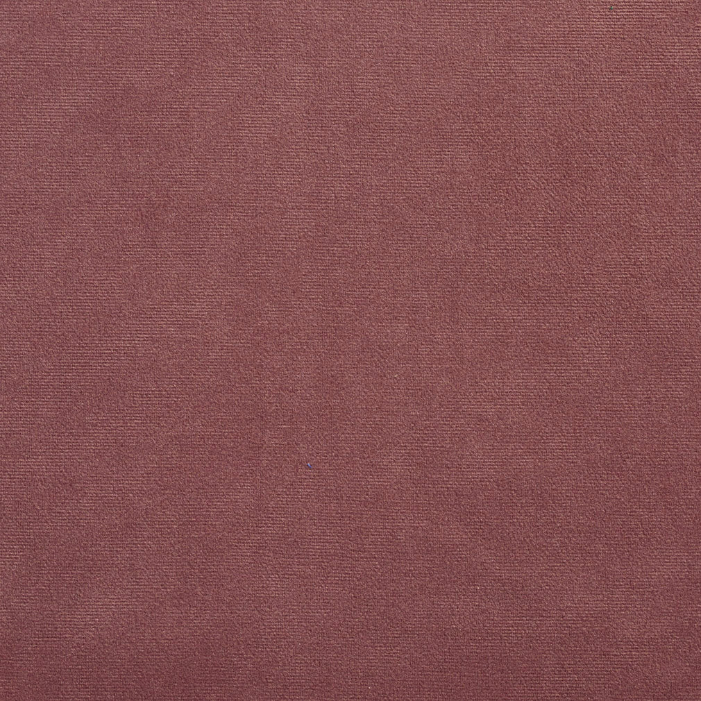 Hartford Plum