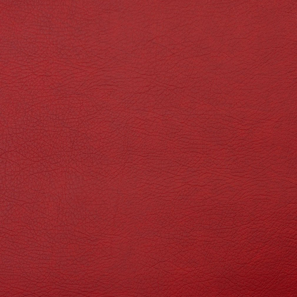Infinity Scarlet