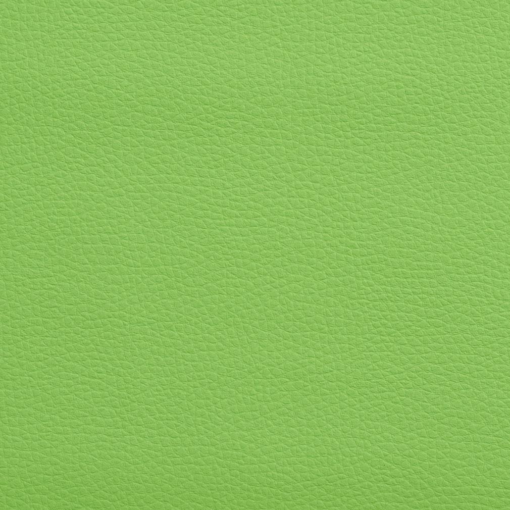 Jamal Lime