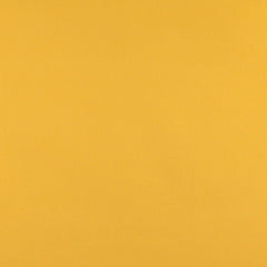 Lane Canary
