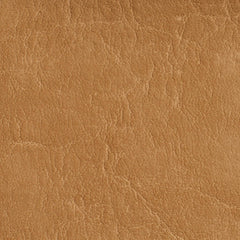 Laney Camel