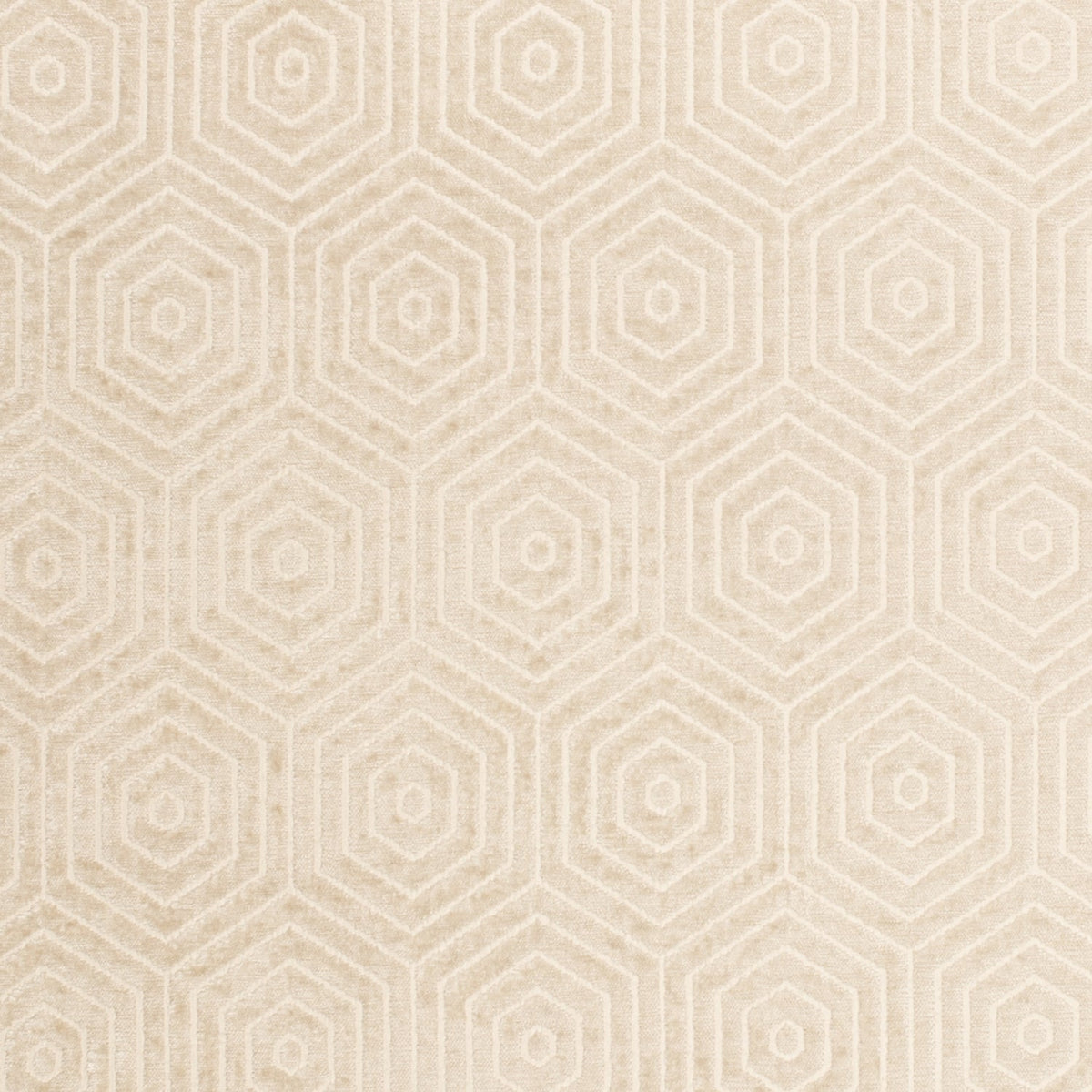 Lazo Fawn