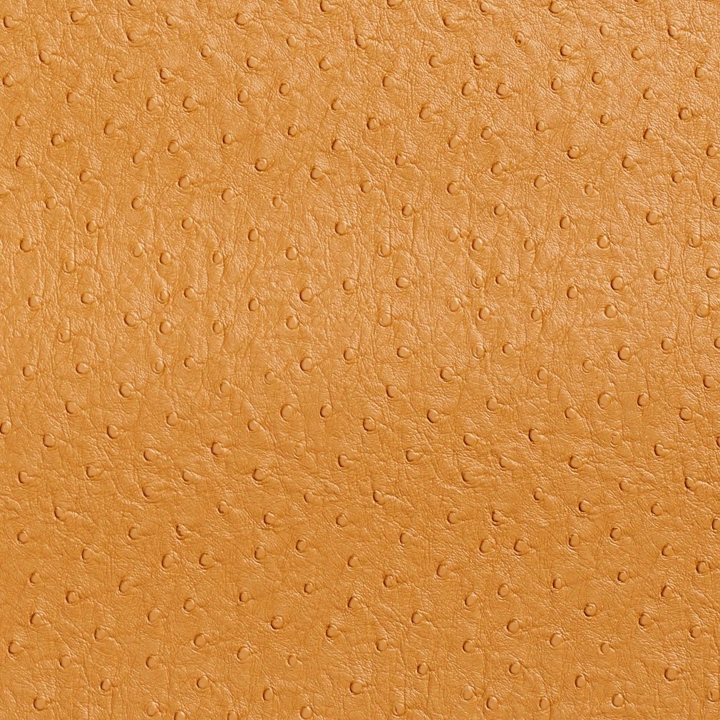 Loretta Camel