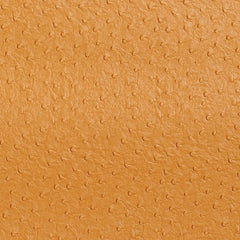 Loretta Camel