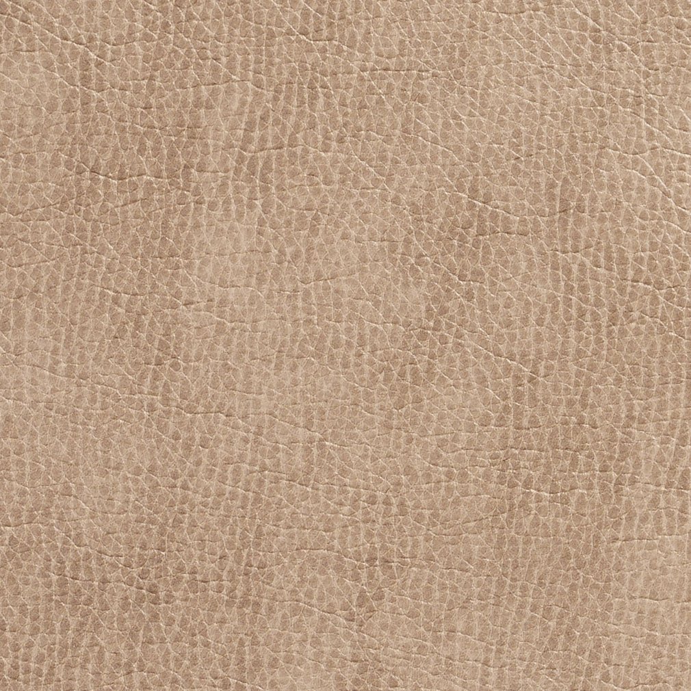 Loring Birch