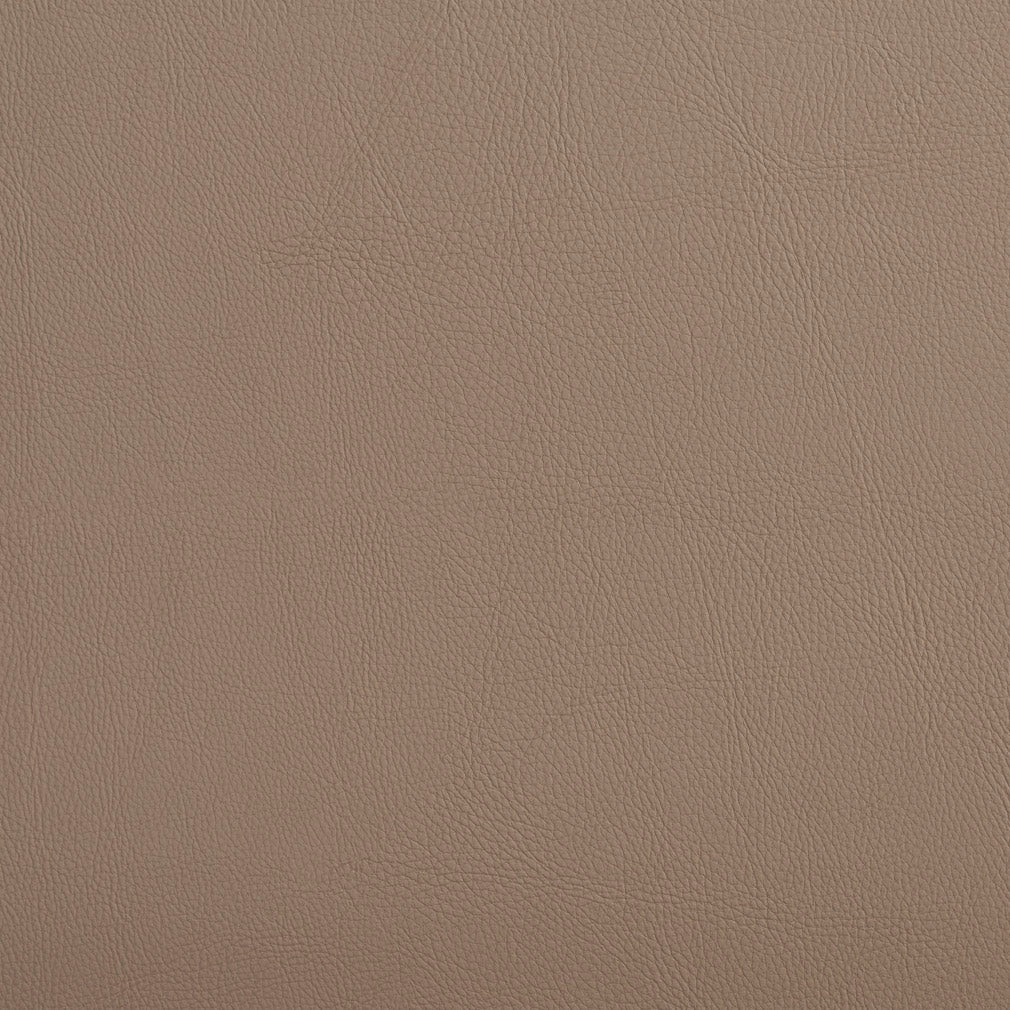 Louie Taupe