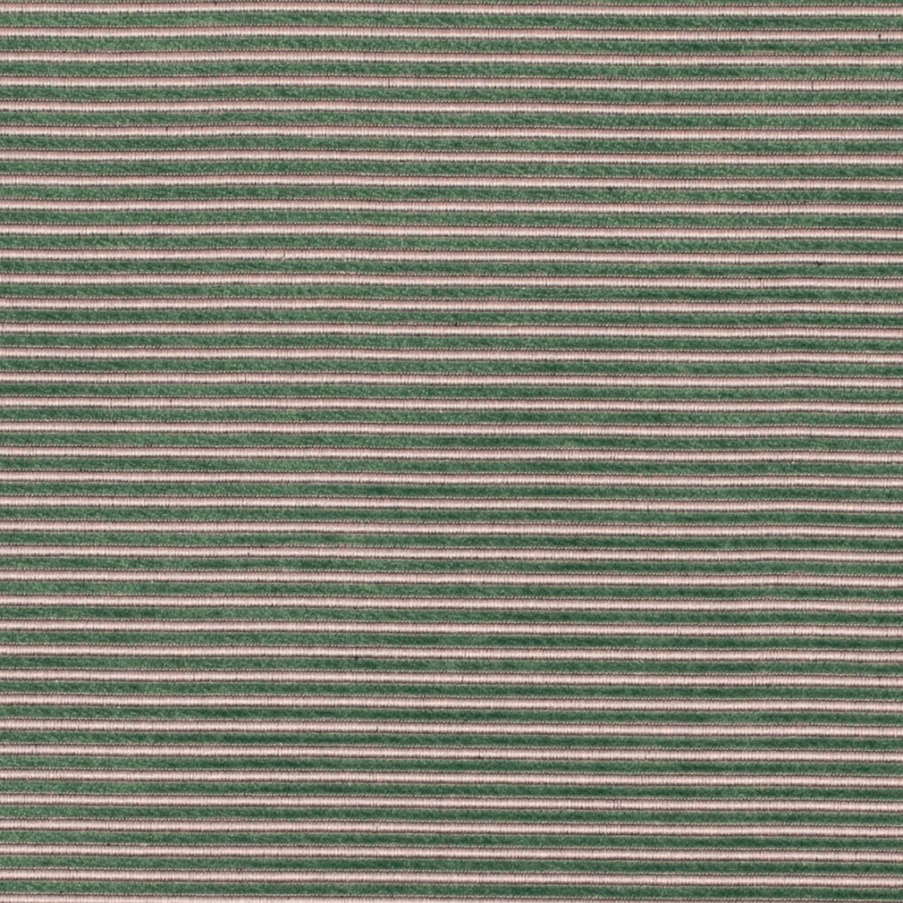 Medina Spruce