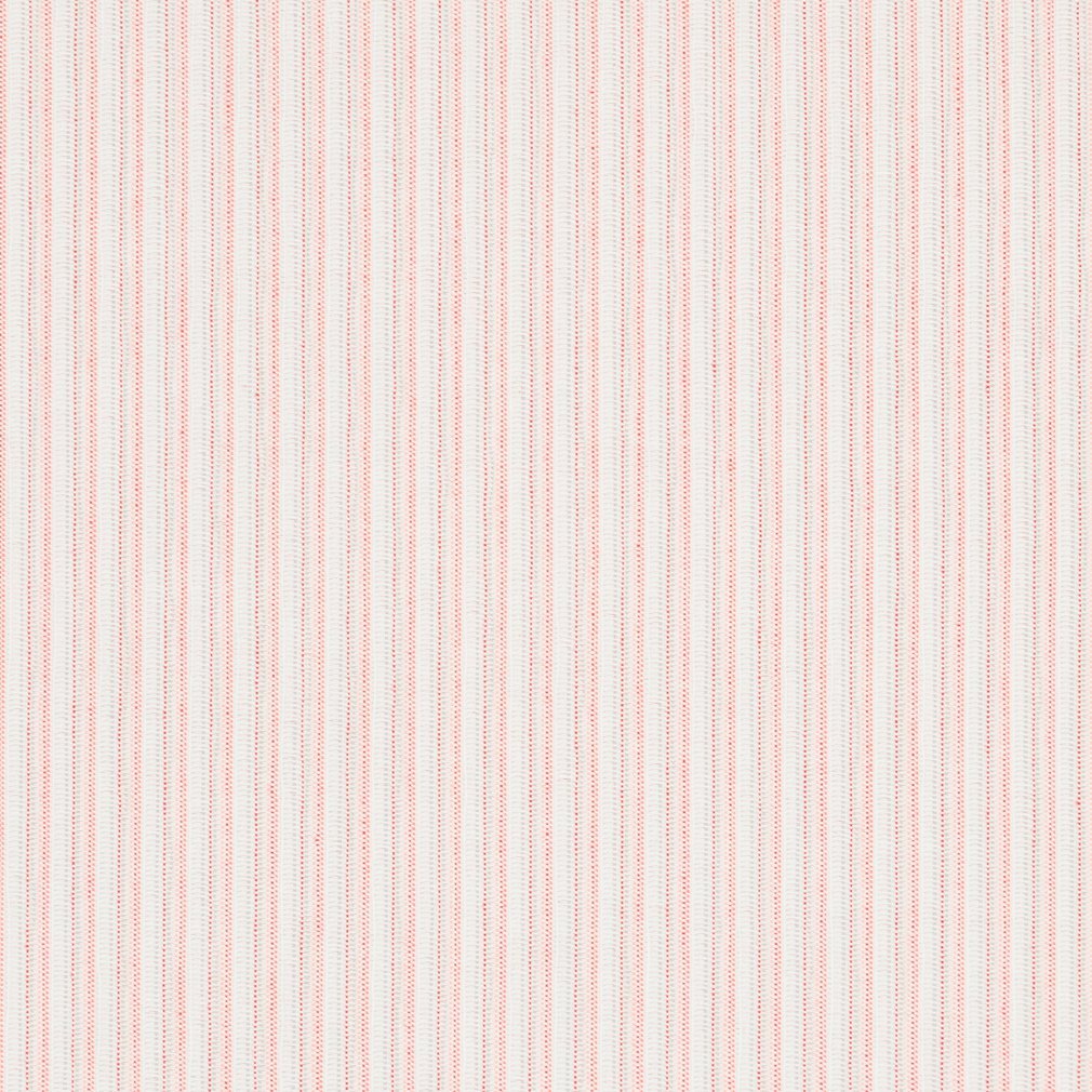 Roxy Tangerine
