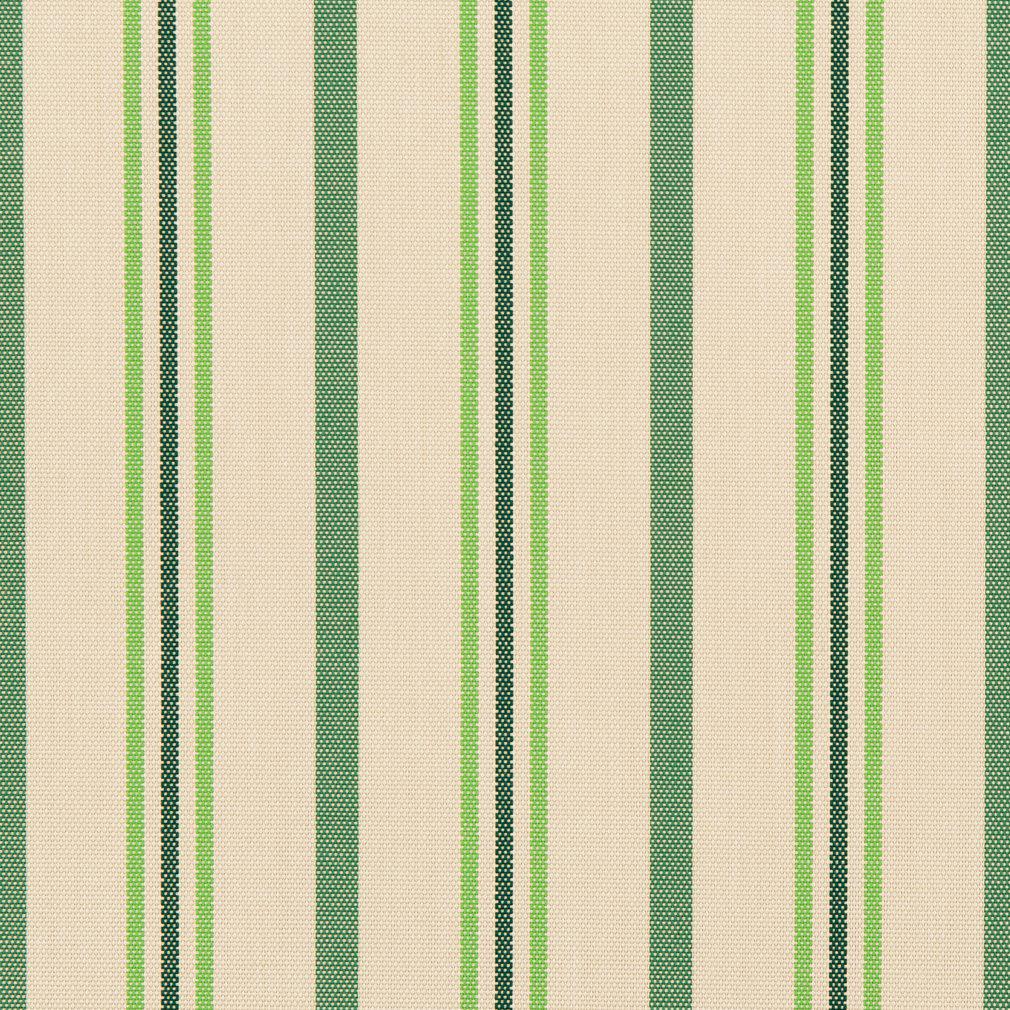 Rudy Spring