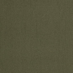 S1011 Sage
