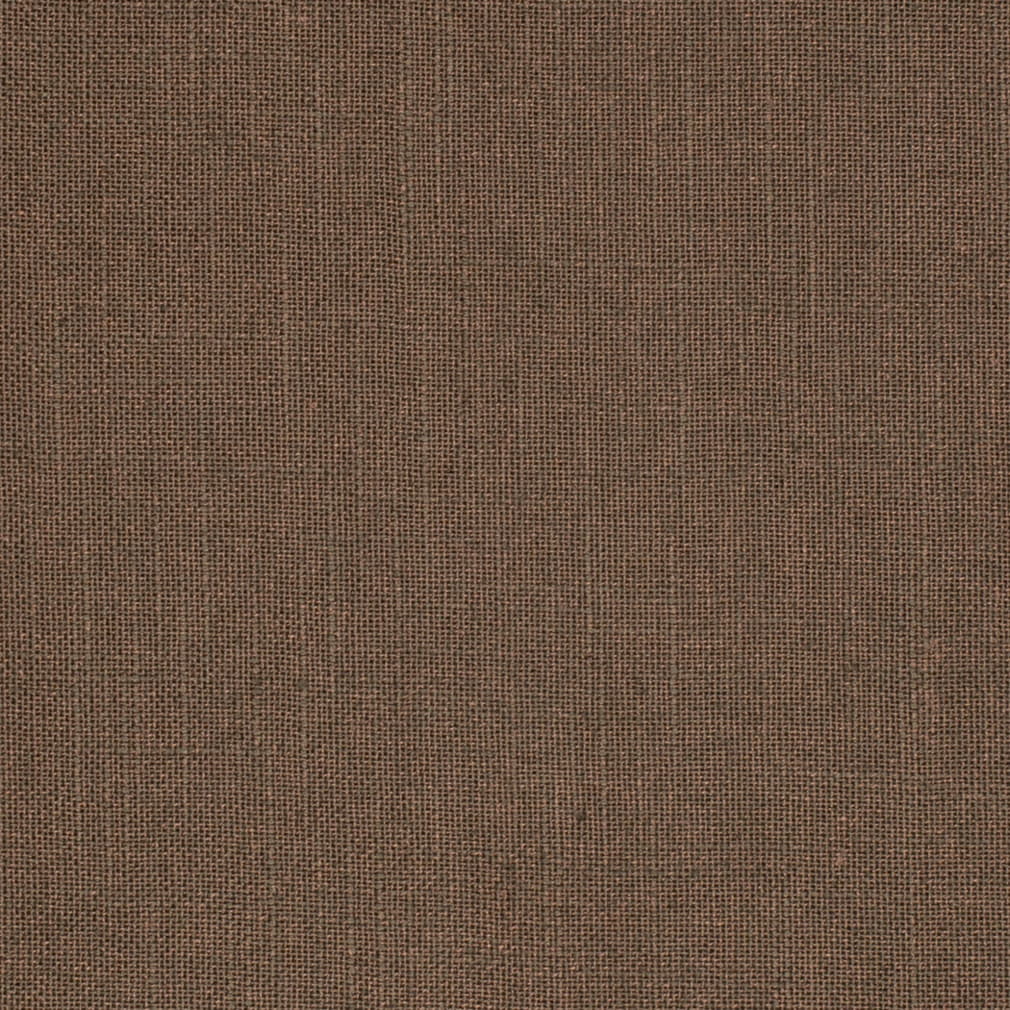 S1029 Raisin