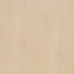 S1032 Biscuit