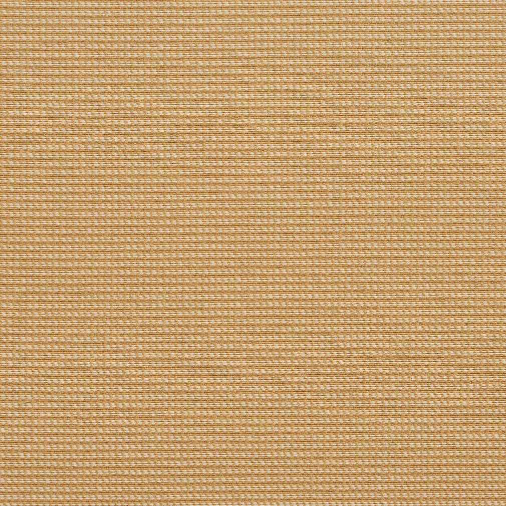 Shelly Wheat